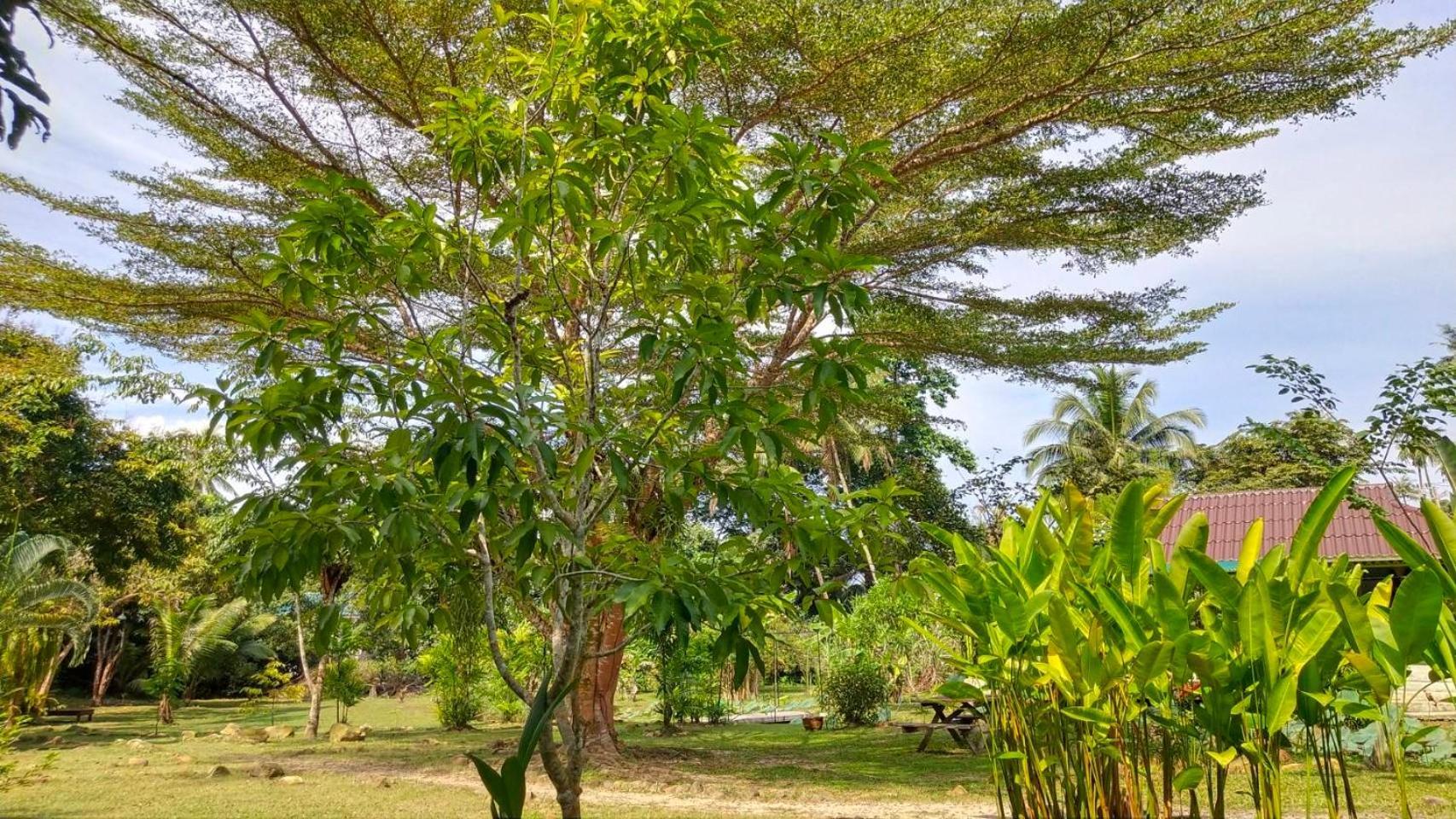 Baan Bua Cottage Sha Extra Plus B5510 Ko Kut Kültér fotó