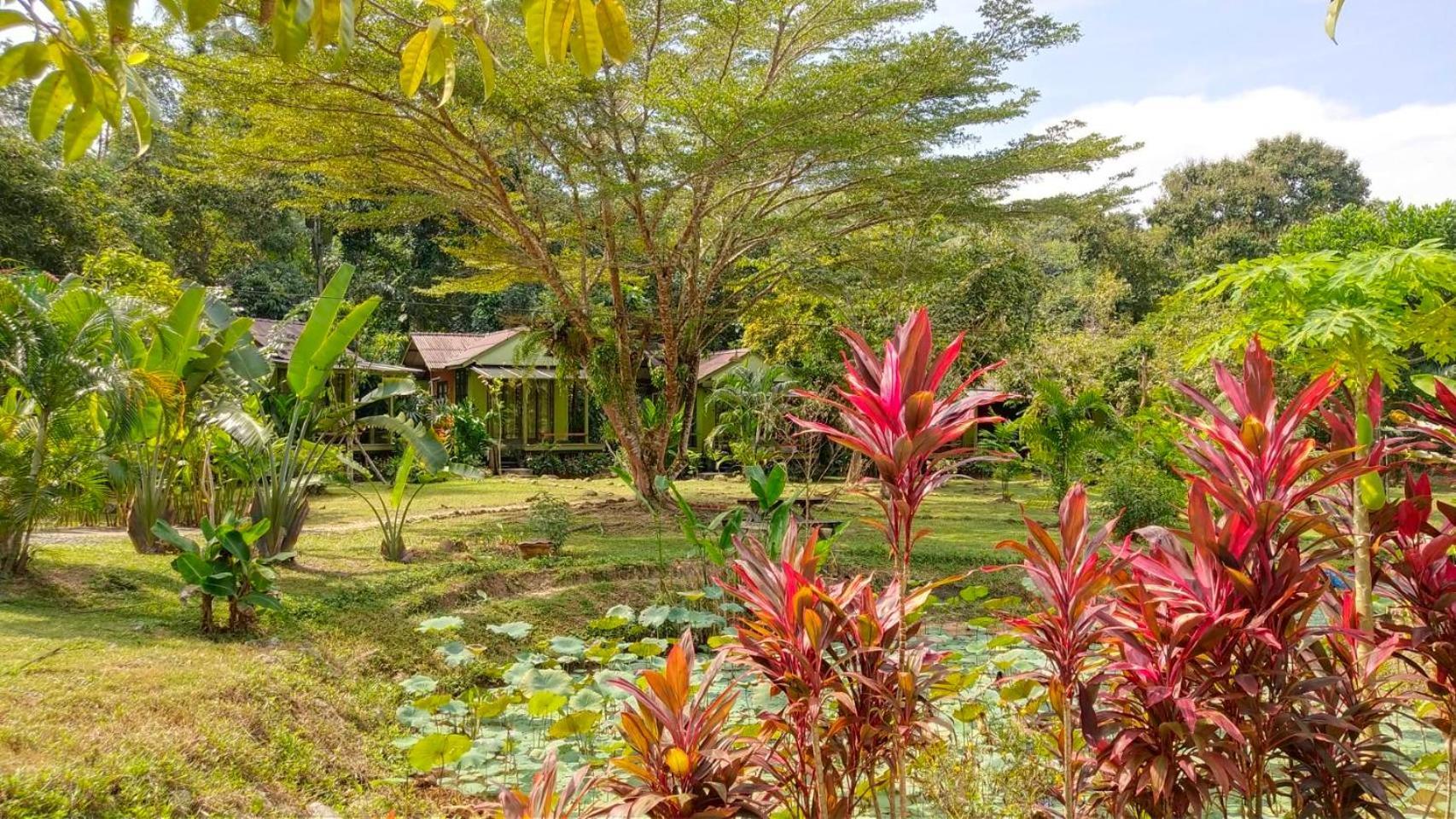 Baan Bua Cottage Sha Extra Plus B5510 Ko Kut Kültér fotó